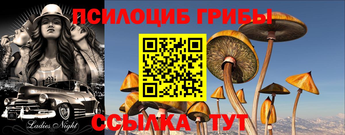 Мефедрон   Хасавюрт  КОКАИН  ГАШ  A PVP СК   Вход с VPN  Бошки Шишки 